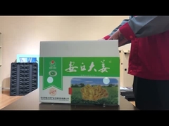 Caja de hortalizas de cartón hueco de PP