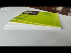 Tableros huecos de plástico