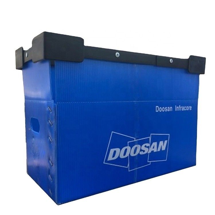 300kg azul que carga la caja de plataforma plástica plegable de Coreflute de la caja plástica de la brazola