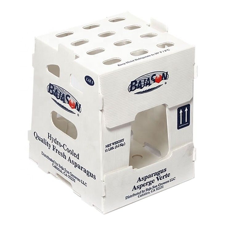 Fabrica OEM Produce caja corrugada de plástico de PP para maíz dulce fresco brócoli berenjena caja de jengibre