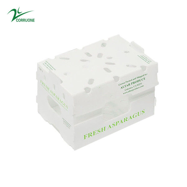 Corruone Polípropileno plegable impermeable de plástico corrugado Frutas y verduras Espargos / jengibre / taro / okra Caja de embalaje