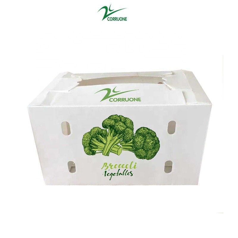 Personaliza caja de plástico corrugado ecológico para brócoli y maíz caja correx maíz brócoli y envasado agrícola