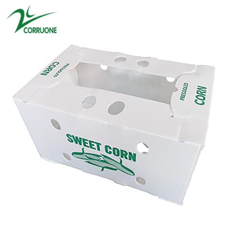 Personaliza caja de plástico corrugado ecológico para brócoli y maíz caja correx maíz brócoli y envasado agrícola
