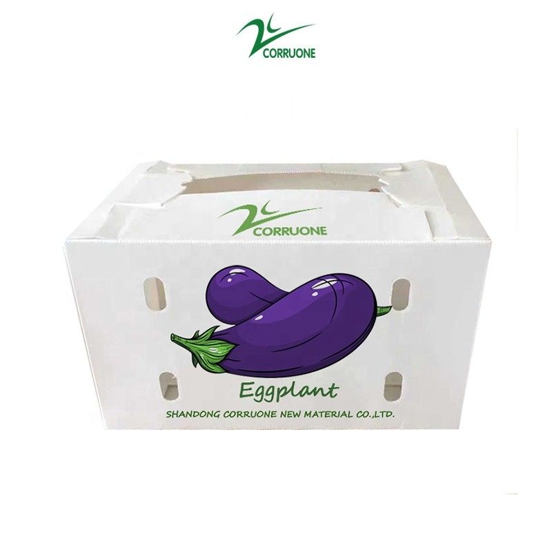 Personaliza caja de plástico corrugado ecológico para brócoli y maíz caja correx maíz brócoli y envasado agrícola