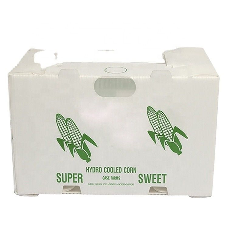 Caja de fruta de Correx Caja de plástico corrugado de PP para vegetales y agricultura Caja de embalaje