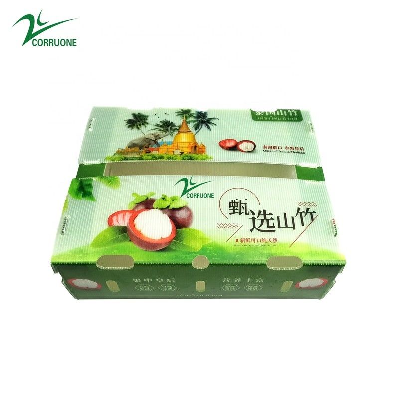 Personaliza caja de plástico corrugado ecológico para brócoli y maíz caja correx maíz brócoli y envasado agrícola