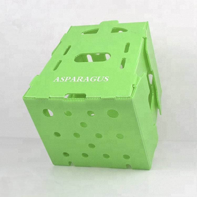 Personaliza caja de plástico corrugado ecológico para brócoli y maíz caja correx maíz brócoli y envasado agrícola