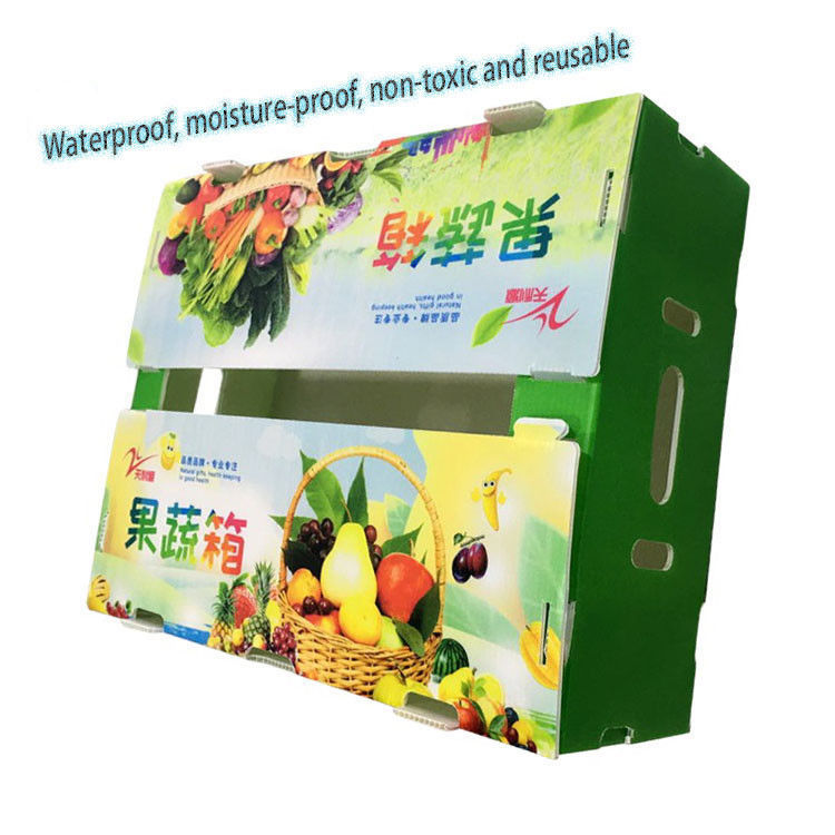Fábrica plegable de suministros reciclados plegable de PP corrugado Coroplast de plástico de frutas y verduras caja