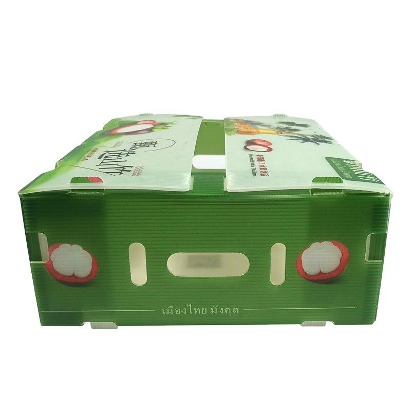 Fábrica plegable de suministros reciclados plegable de PP corrugado Coroplast de plástico de frutas y verduras caja