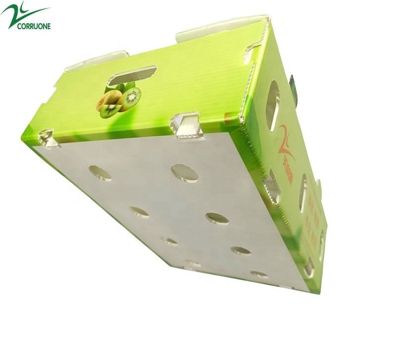 Corruone Polípropileno plegable impermeable de plástico corrugado Frutas y verduras Espargos / jengibre / taro / okra Caja de embalaje