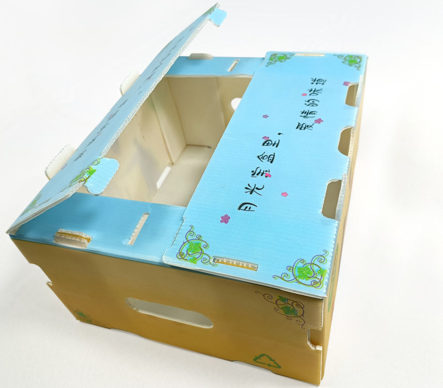 Embalaje de frutas y verduras en cartón de PP, plástico, uvas, cajas de embalaje de plástico, cajas de brócoli, papel de jengibre ondulado