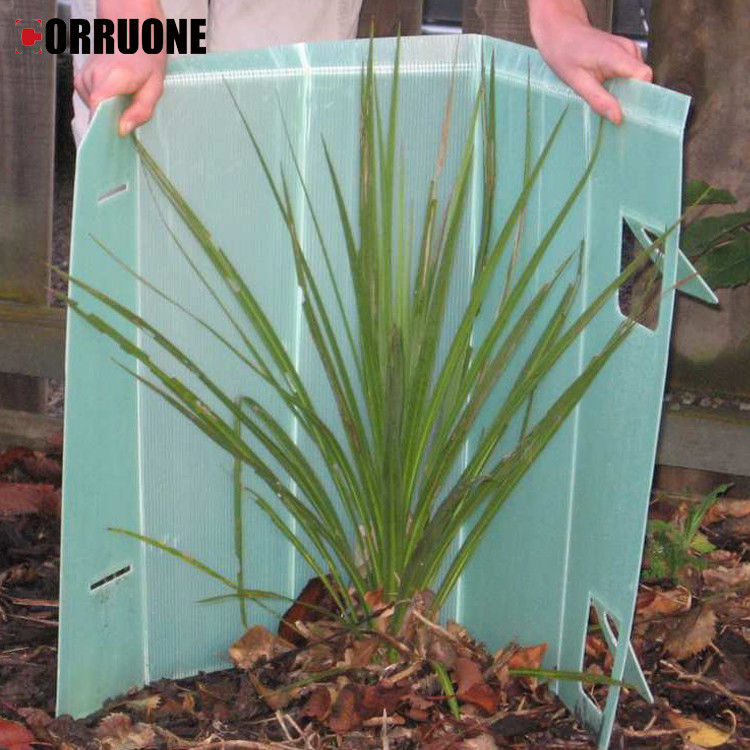 Hoja de plástico de panal de abejas barata protector de hojas de plástico de pp hoja de plástico corrugada que protege eficazmente a los árboles jóvenes