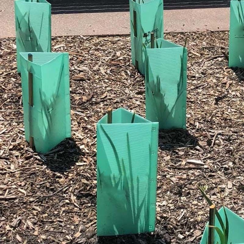 protectores del tronco de Green Plastic Tree del guardia del árbol de 1.5m m PP Corflute
