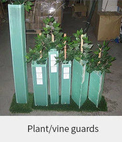 protectores del tronco de Green Plastic Tree del guardia del árbol de 1.5m m PP Corflute