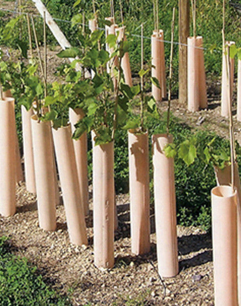 protectores del tronco de Green Plastic Tree del guardia del árbol de 1.5m m PP Corflute