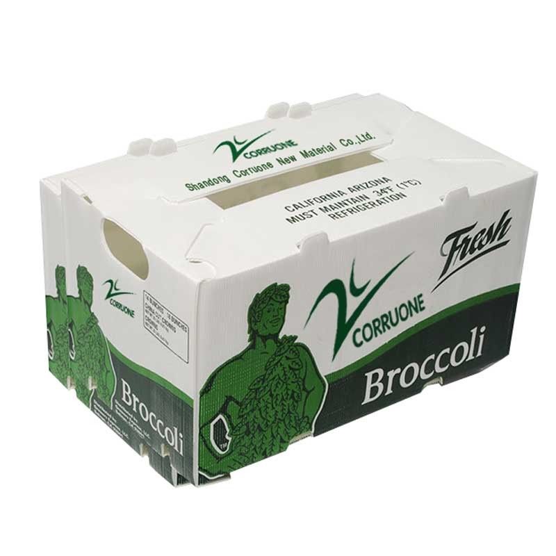 Embalaje de frutas y verduras personalizado Cajas de plástico corrugado Cajas de embalaje de almacenamiento corrugado de PP