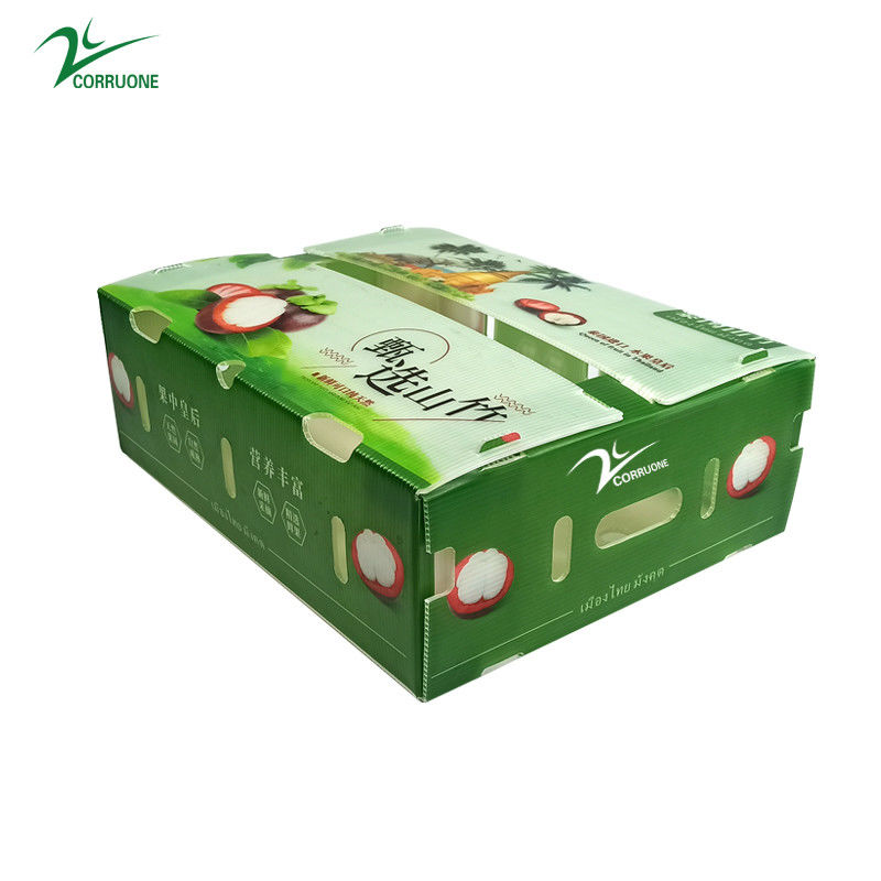 Embalaje de frutas y verduras personalizado Cajas de plástico corrugado Cajas de embalaje de almacenamiento corrugado de PP