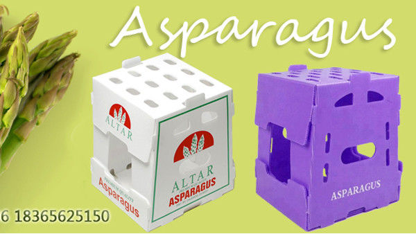 Embalaje de frutas y verduras personalizado Cajas de plástico corrugado Cajas de embalaje de almacenamiento corrugado de PP