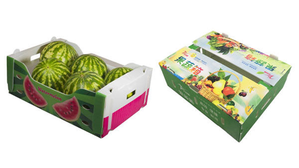 Embalaje de frutas y verduras personalizado Cajas de plástico corrugado Cajas de embalaje de almacenamiento corrugado de PP