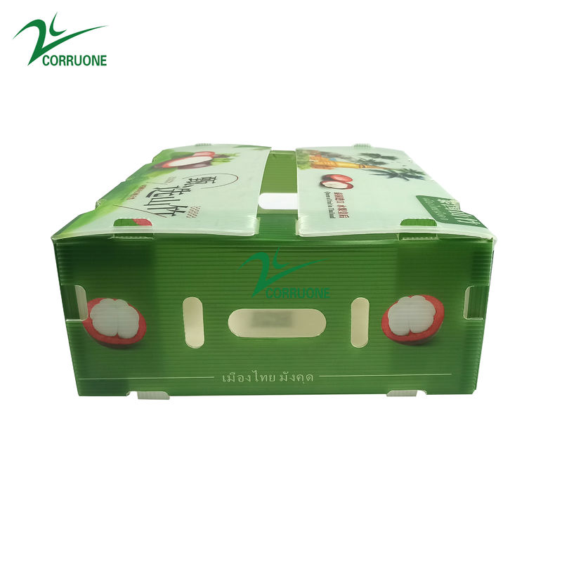 Caja de plástico corrugado de PP plegable Danpla Caja de chapa de plástico de polipropileno Cajas corrugadas Caja de almacenamiento