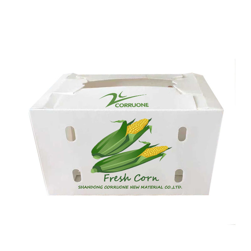 1.5mm-30m m PP acanalaron azulverde blanco de las cajas del envase de plástico
