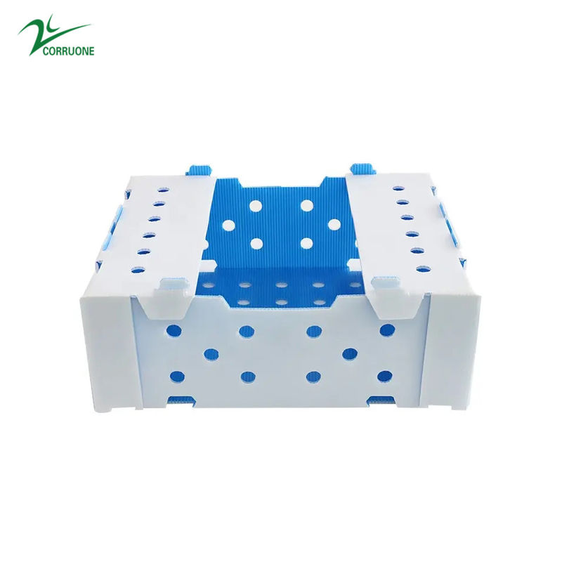 1.5mm-30m m PP acanalaron azulverde blanco de las cajas del envase de plástico
