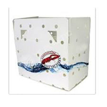 Corruone PP polipropileno 5 KG y 10 KG Cajas de embalaje de carne o mariscos congelados impermeables personalizadas Cajas de mariscos de plástico corrugado