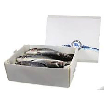 Corruone PP polipropileno 5 KG y 10 KG Cajas de embalaje de carne o mariscos congelados impermeables personalizadas Cajas de mariscos de plástico corrugado