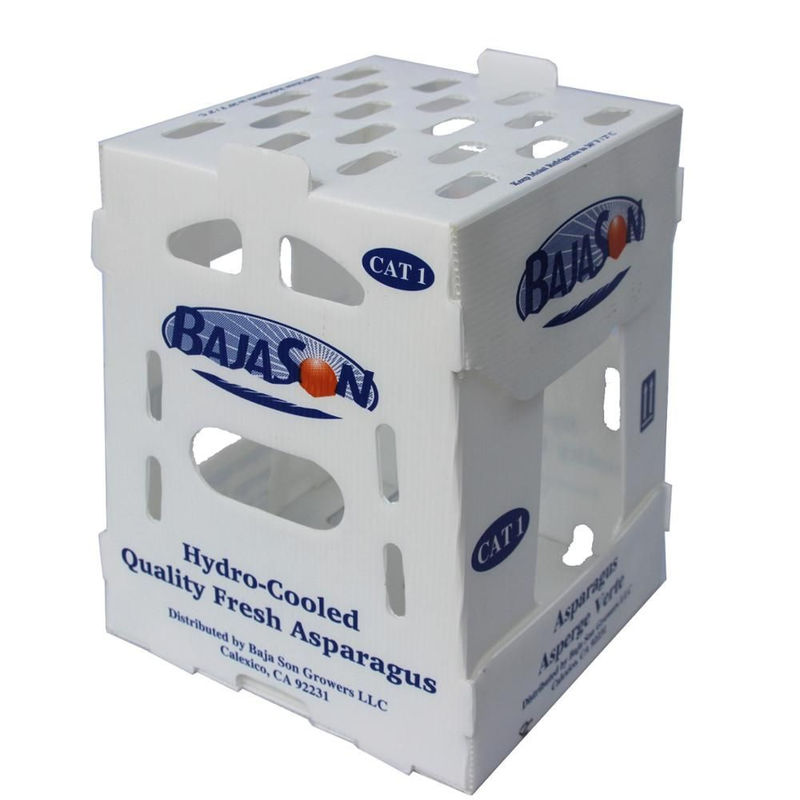 cajas plásticas de 5m m 6m m Correx PP para las frutas y verduras