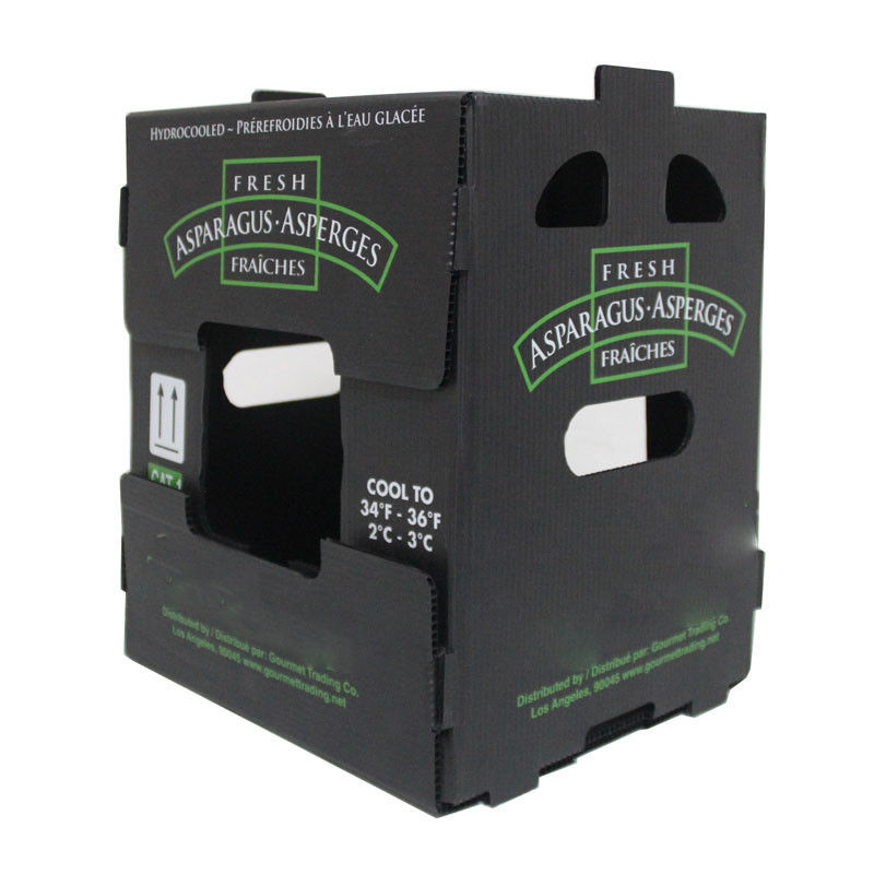 cajas plásticas de 5m m 6m m Correx PP para las frutas y verduras