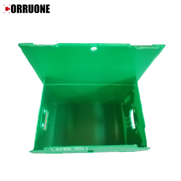 Correx impermeable PP acanaló las cajas de almacenamiento gruesas de la caja 12m m Corflute