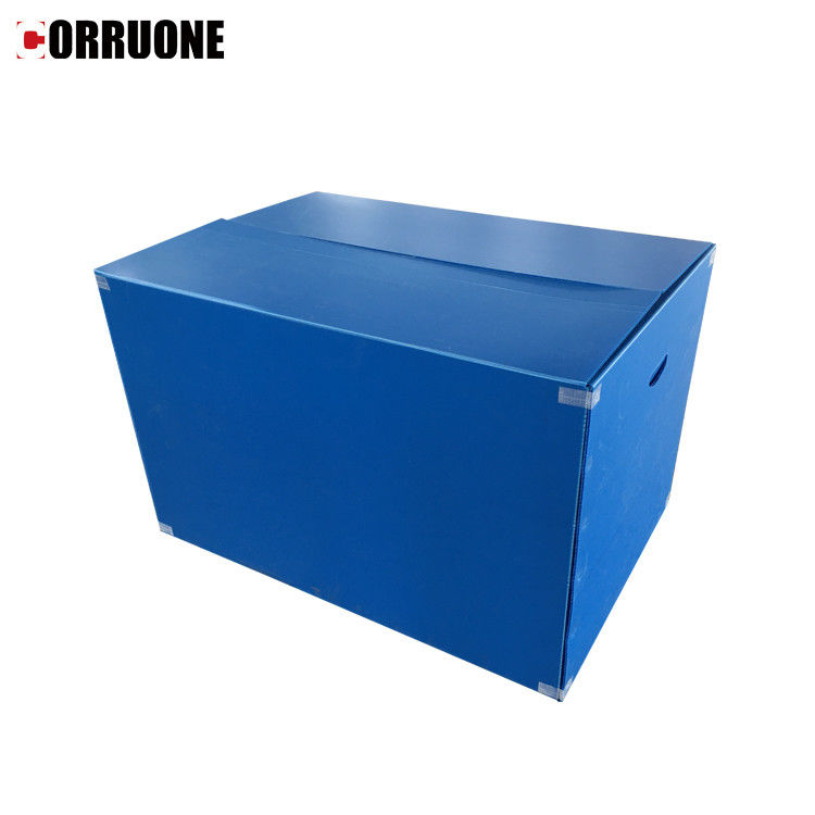 Correx impermeable PP acanaló las cajas de almacenamiento gruesas de la caja 12m m Corflute