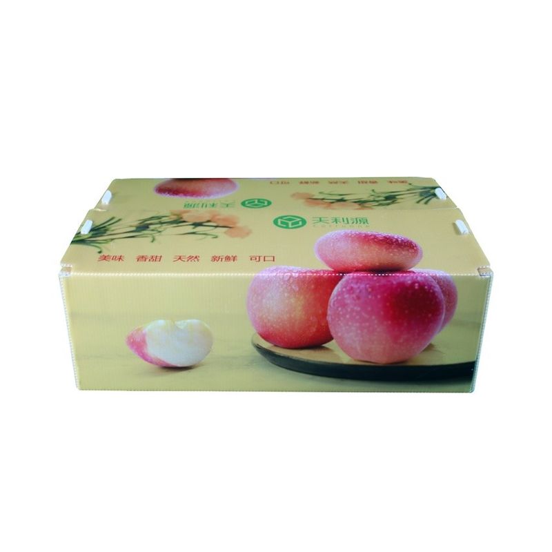 Envase acanalado de Corflute de la categoría alimenticia de la caja de Twinwall PP para las legumbres de frutas