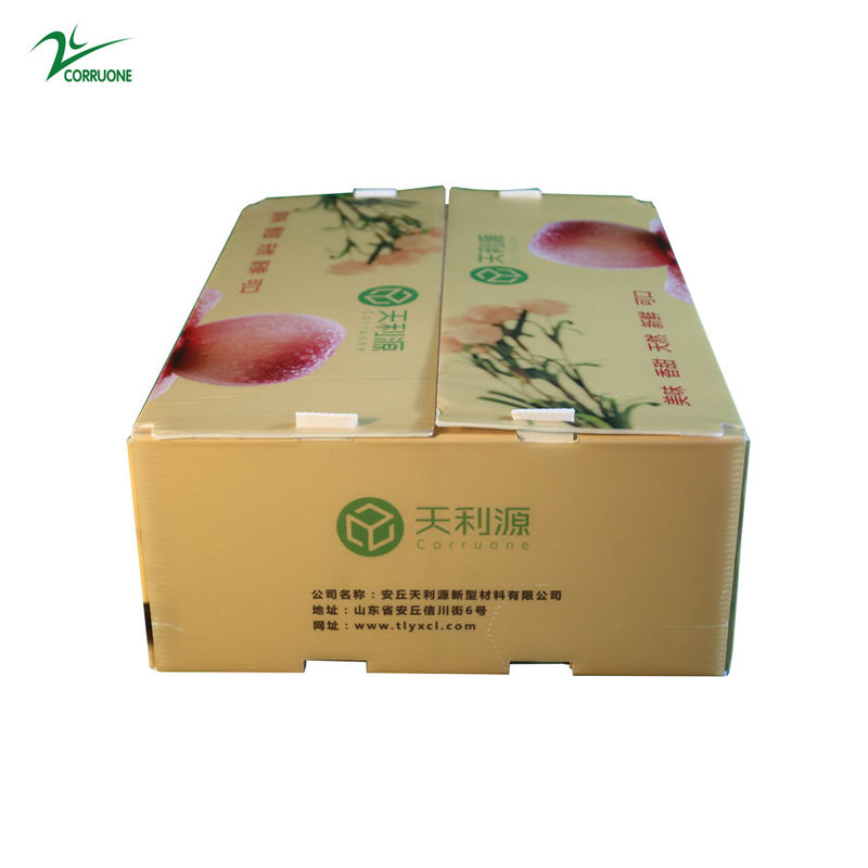 Envase acanalado de Corflute de la categoría alimenticia de la caja de Twinwall PP para las legumbres de frutas