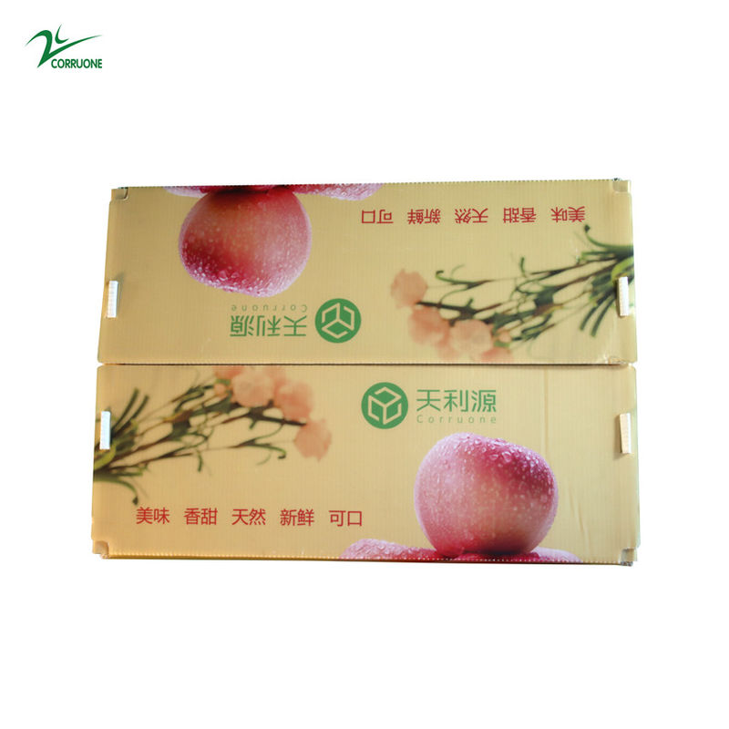 Envase acanalado de Corflute de la categoría alimenticia de la caja de Twinwall PP para las legumbres de frutas