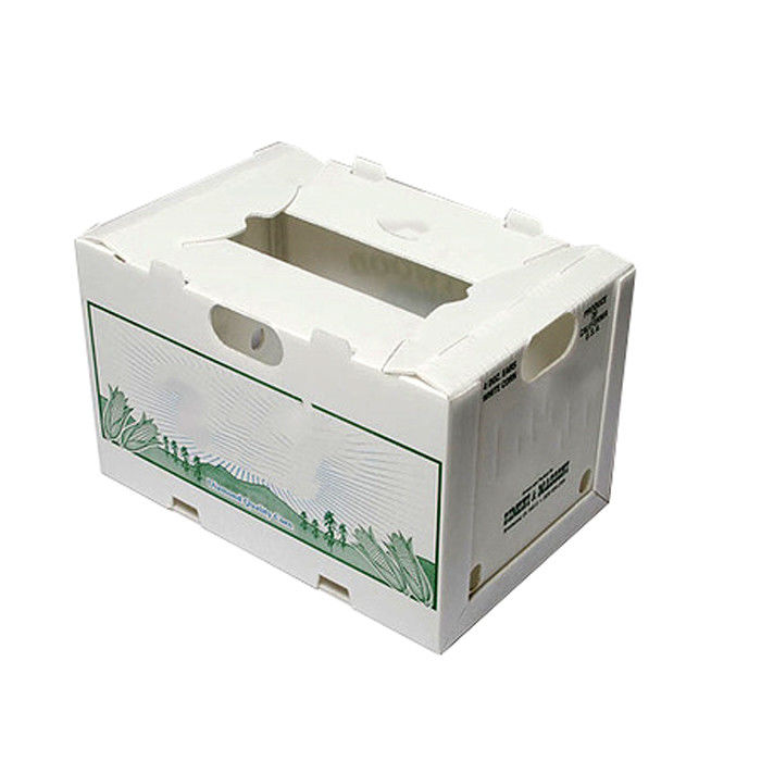 el maíz de 3.5m m acanaló las cajas móviles plásticas Matt Lamination Printing