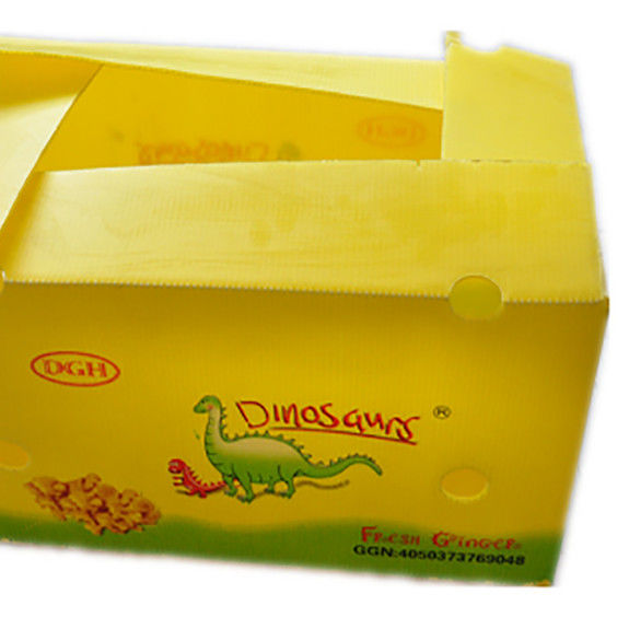 Embalaje de frutas y verduras en cartón de PP, plástico, uvas, cajas de embalaje de plástico, cajas de brócoli, papel de jengibre ondulado