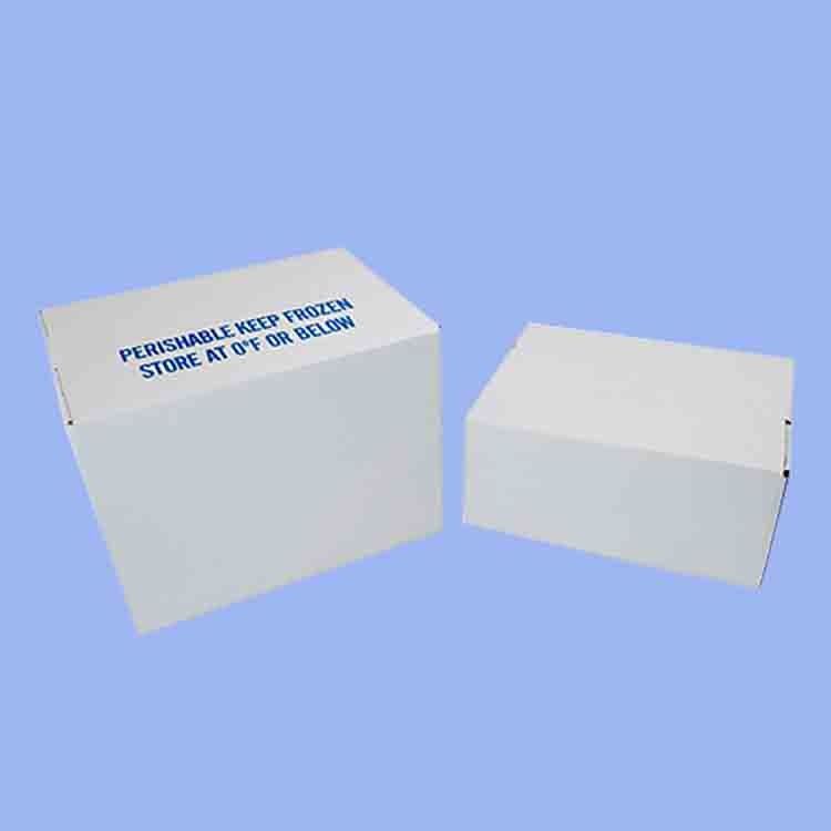 Caja de plástico corrugado de PP para hortalizas y frutas Caja de maíz, brócoli y agricultura Caja de embalaje