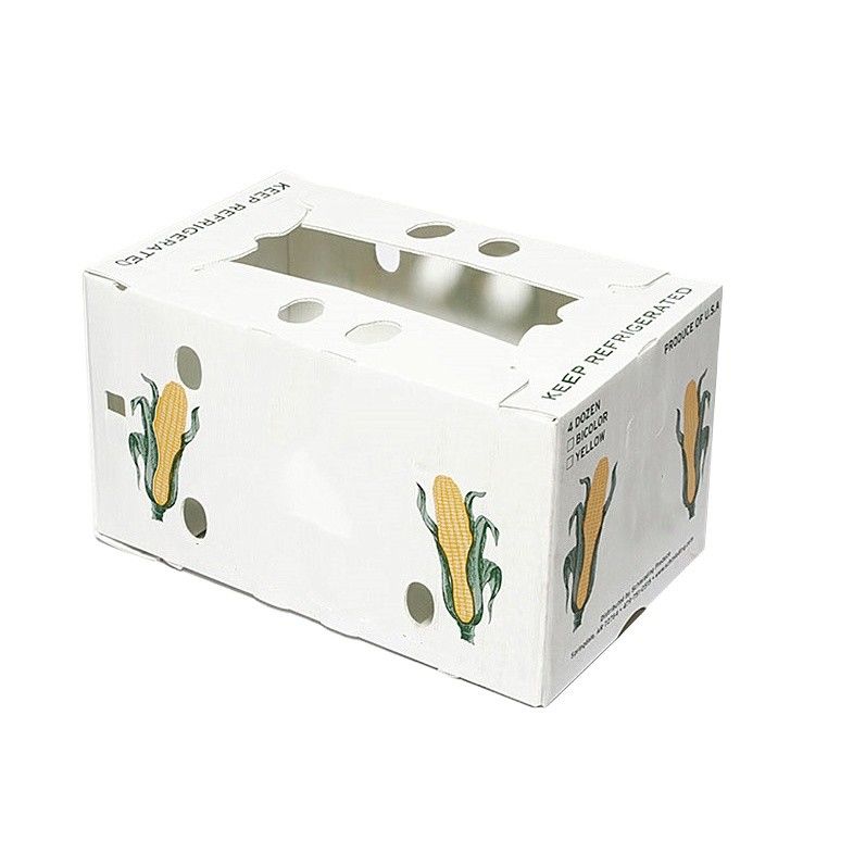 Nueva caja de plástico corrugado de PP de 2023 para cajas de verduras y frutas