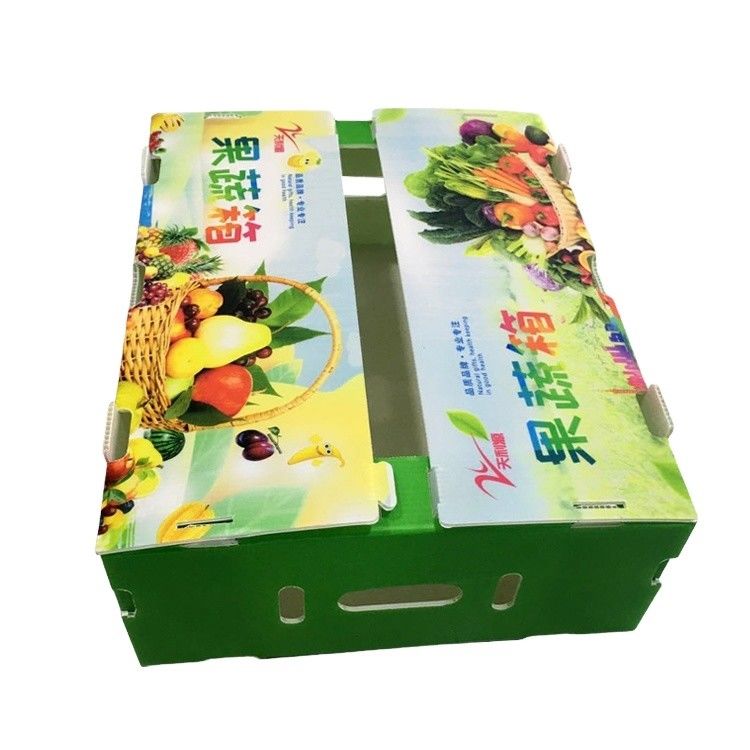Nueva caja de plástico corrugado de PP de 2023 para cajas de verduras y frutas