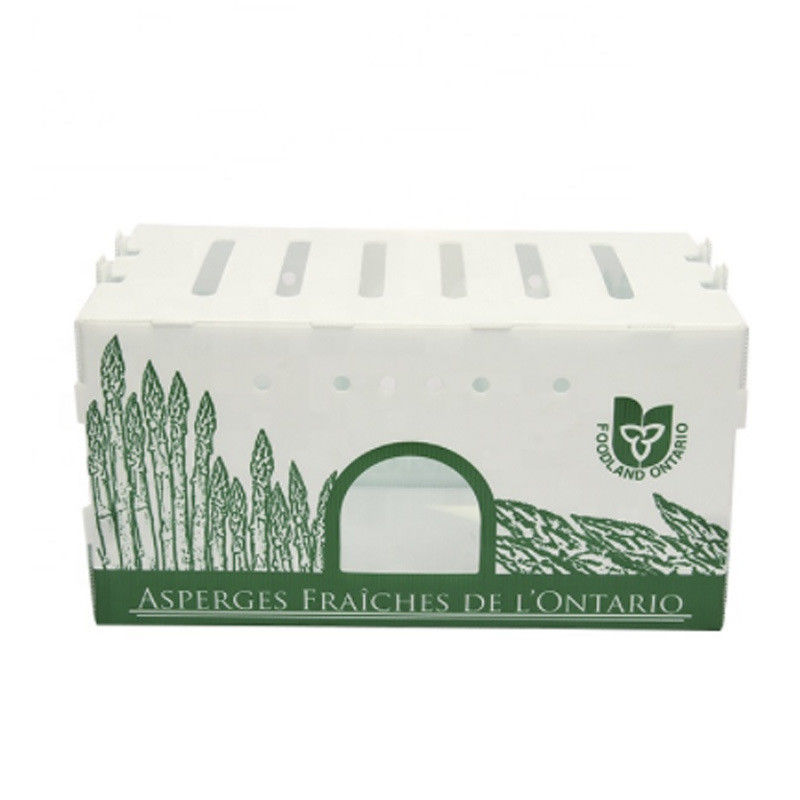 Caja de plástico corrugado de PP para hortalizas y frutas Caja de maíz, brócoli y agricultura Caja de embalaje