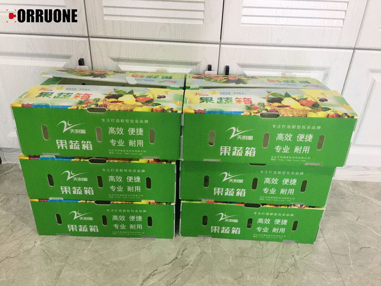 Caja de plástico corrugado de PP para hortalizas y frutas Caja de maíz, brócoli y agricultura Caja de embalaje