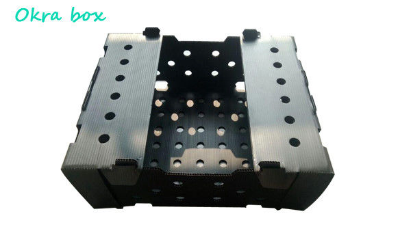 Caja de plástico corrugado de PP para hortalizas y frutas Caja de corflute correx de maíz brócoli y agricultura Caja de embalaje