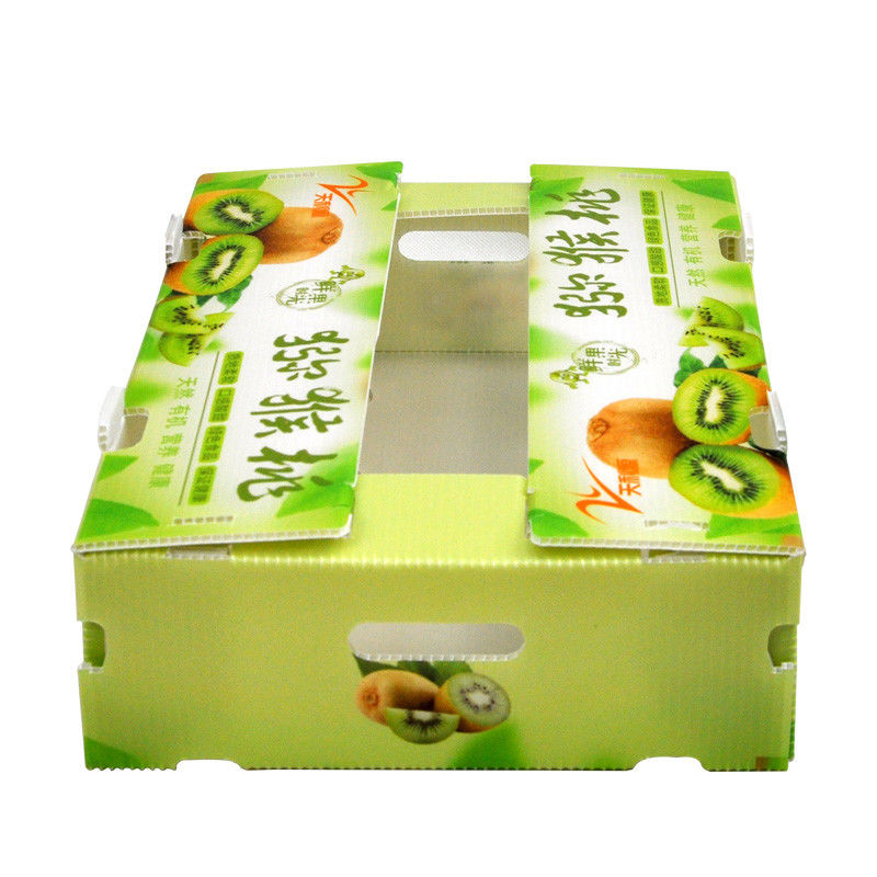Coroplast de encargo encajona las cajas acanaladas vegetales para la pimienta roja