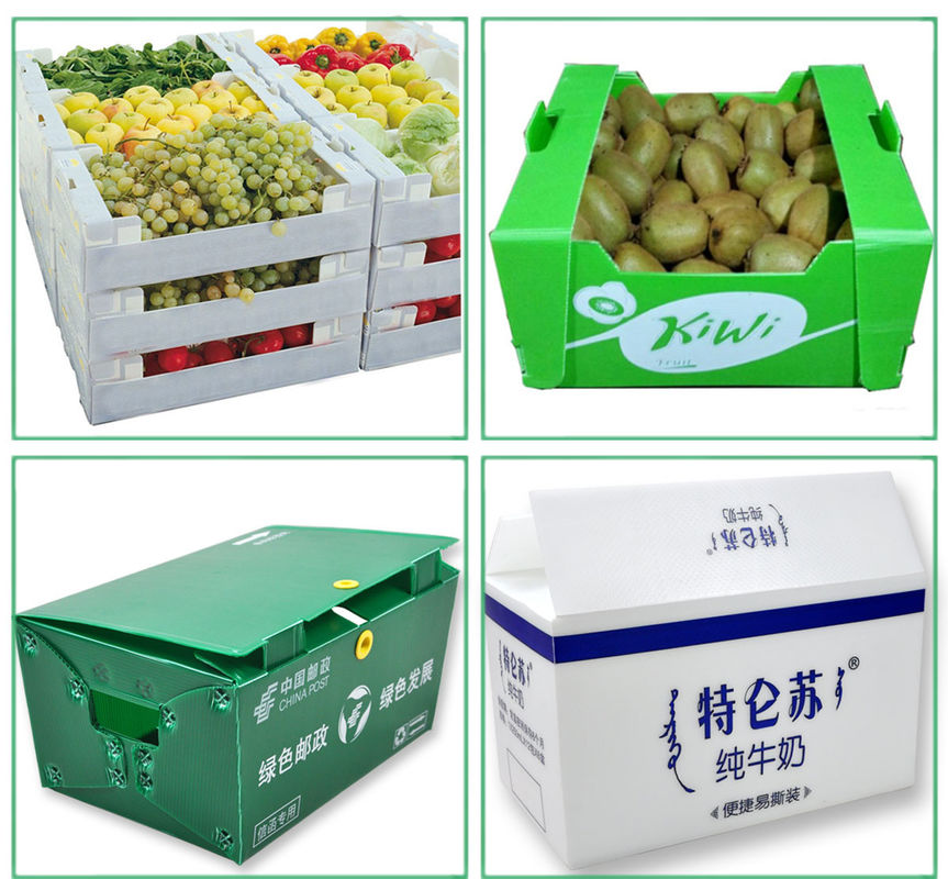 Coroplast de encargo encajona las cajas acanaladas vegetales para la pimienta roja