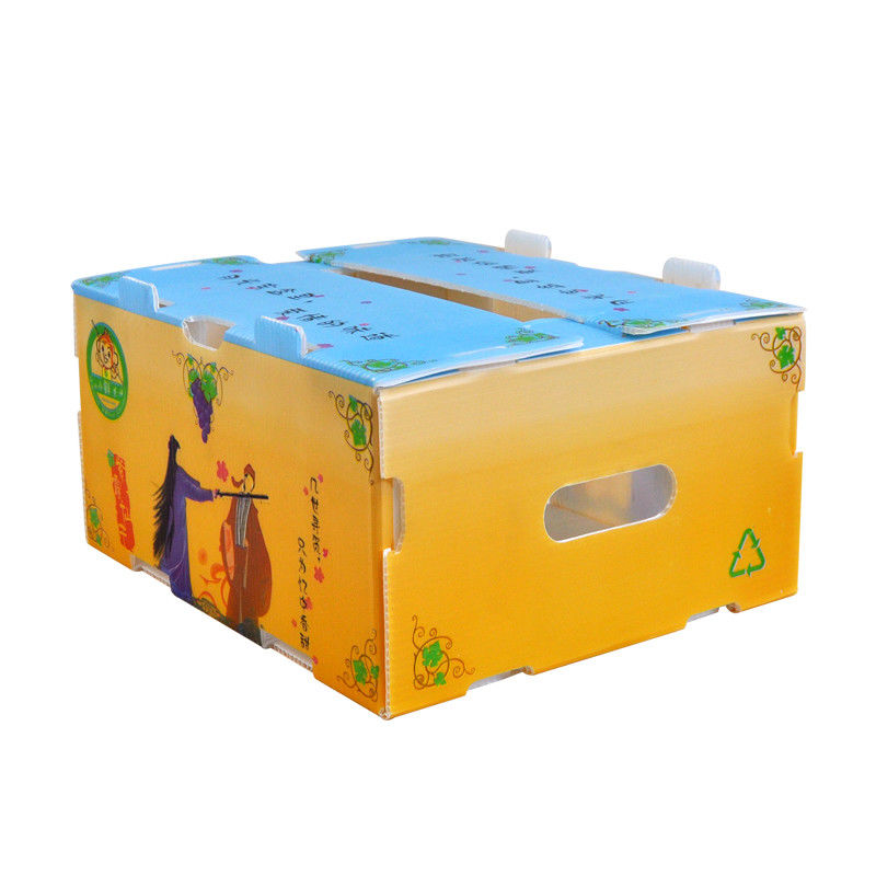 El maíz de Correx que la verdura acanaló las cajas acanaló las cajas de envío plásticas