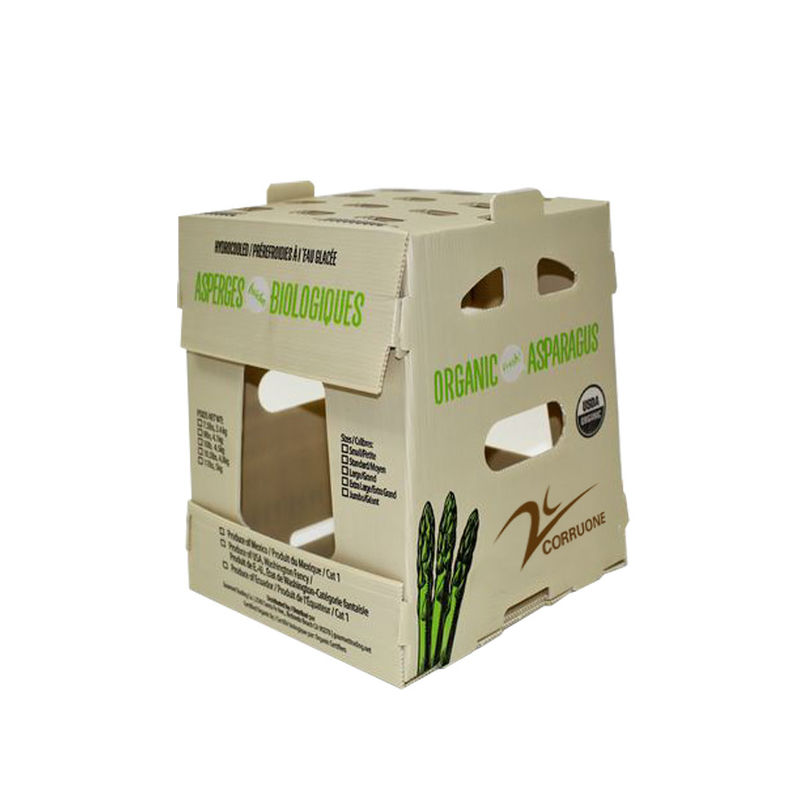 Cajas de almacenamiento acanaladas de Corflute del polipropileno de la caja del mango de los PP PE