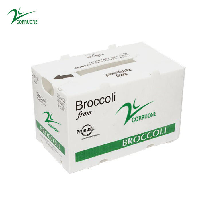Cajas de almacenamiento acanaladas de Corflute del polipropileno de la caja del mango de los PP PE