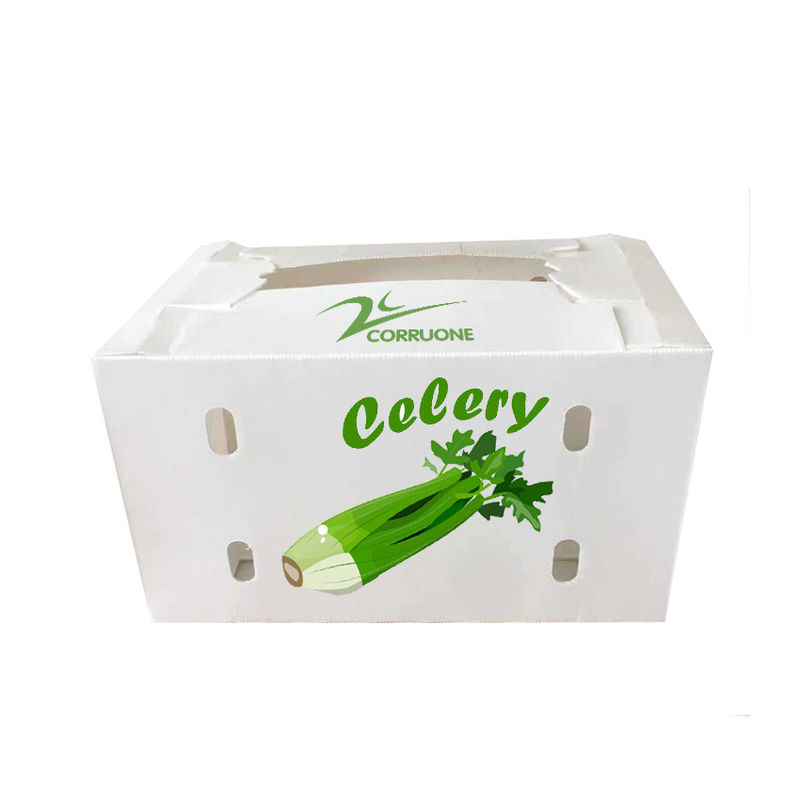 Cajas de almacenamiento acanaladas de Corflute del polipropileno de la caja del mango de los PP PE