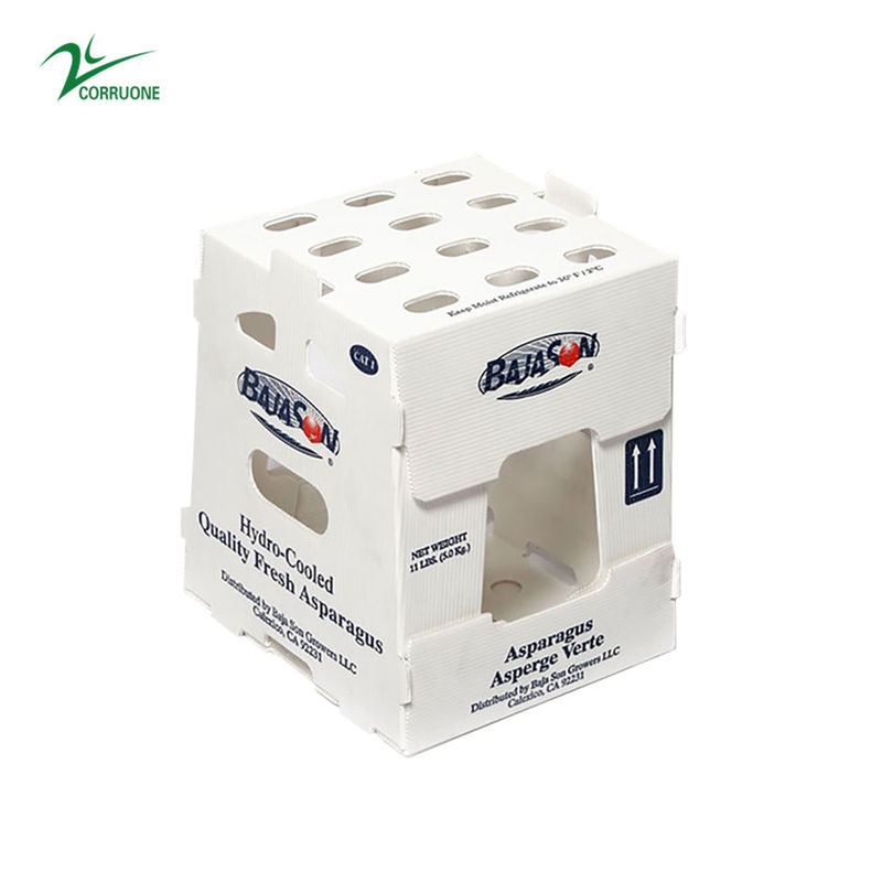 Nueva caja de plástico corrugado 2023 para frutas y verduras bajo precio